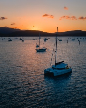 Airlie Beach harbor - Australia - Drone photo