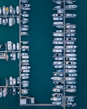 Airlie Beach harbor - Australia - Drone photo
