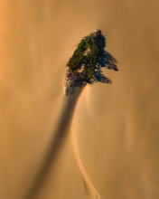 Fraser Island - Australia - Drone photo