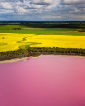 Pink Lake - Australia - Drone photo