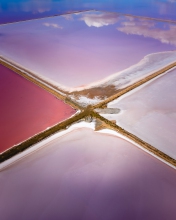Pink Lake - Australia - Drone photo