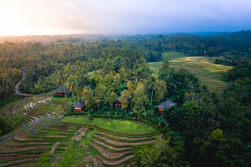 Clove Tree Hill in Bali, Indonesia - Drone photo