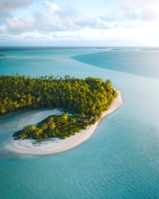 Beach - Tetiaroa, French Polynesia - Drone photo