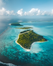 Islands - Tetiaroa, French Polynesia - Drone photo