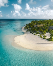 Beach - Tetiaroa, French Polynesia - Drone photo