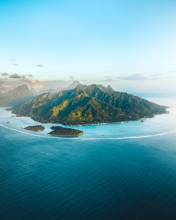 Island - Moorea, French Polynesia - Drone photo