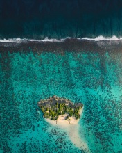 Coral reef - Moorea, French Polynesia - Drone photo