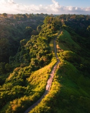 Campuhan Ridge Walk - Bali - Indonesia - Drone photo