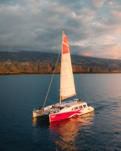 Catamaran - La Réunion (France) - Drone photo