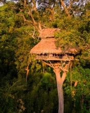 Gibbon Experience - Laos - Drone photo