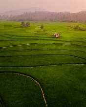 Lee 7 farm - Laos - Drone photo