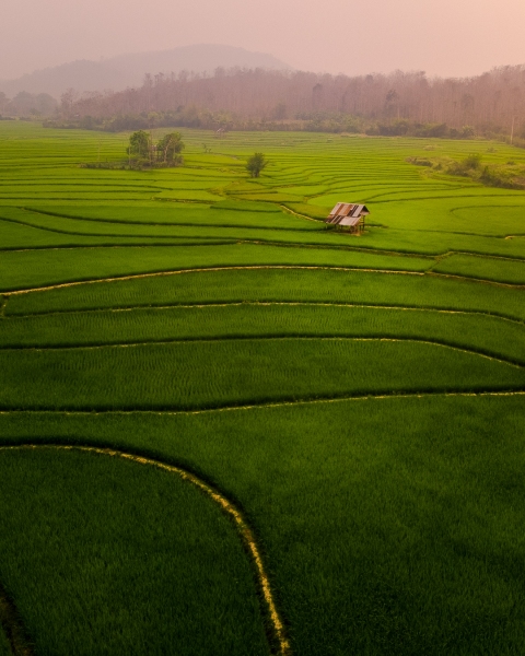 Lee 7 farm in Laos - Drone photo