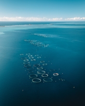 Fish farms - Mauritius - Drone photo