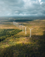 Wind mills - Mauritius - Drone photo