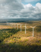 Wind mills - Mauritius - Drone photo