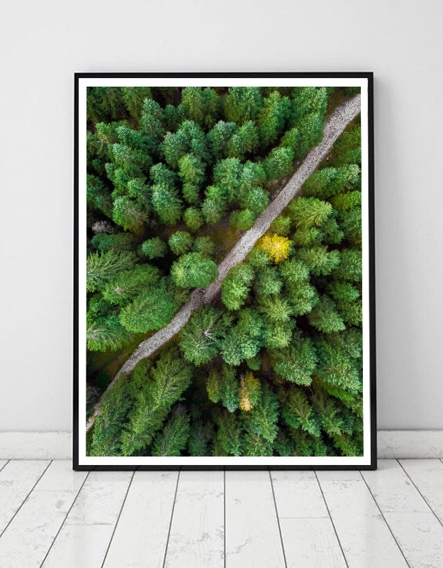 Forest in Slovenia - Drone photo print