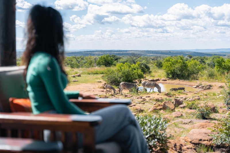 Safari drone trip - South Africa