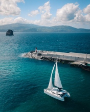 Sailing catamaran - Pico, Azores (Portugal) - Drone photo
