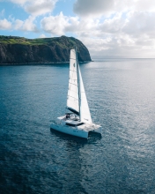 Saildive catamaran - Faial, Azores (Portugal) - Drone photo