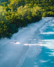 Anse Lazio beach - Praslin, Seychelles - Drone photo