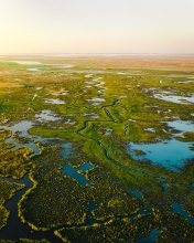 Verdronken land van Saeftinghe - The Netherlands - Drone photo