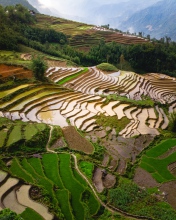 Sapa - Vietnam - Drone photo