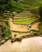 Sapa - Vietnam - Drone photo