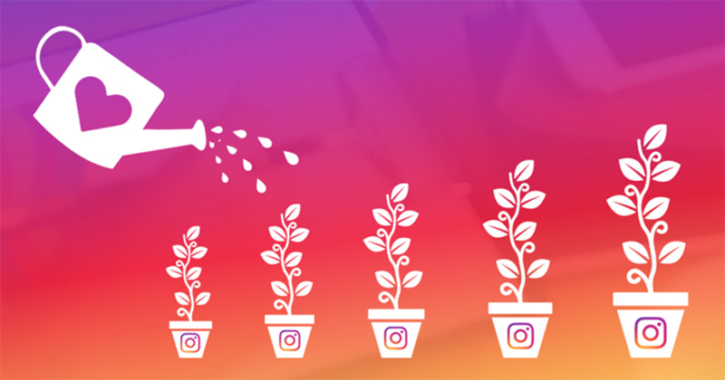 Instagram growth