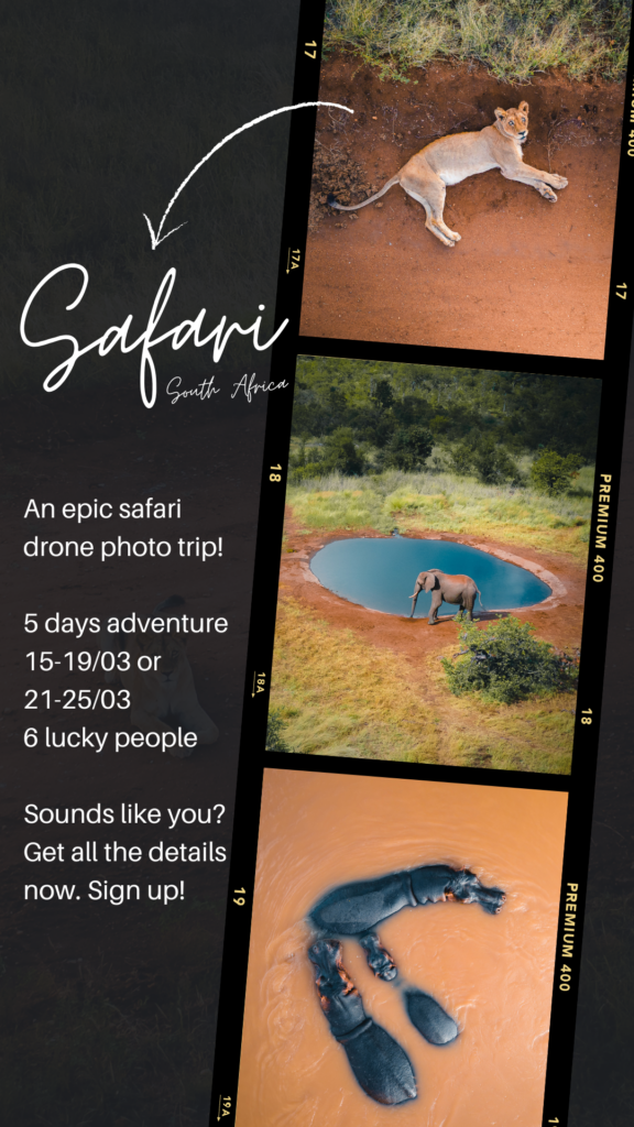 Safari drone trip 2024