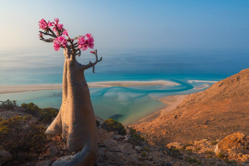 Socotra drone trip