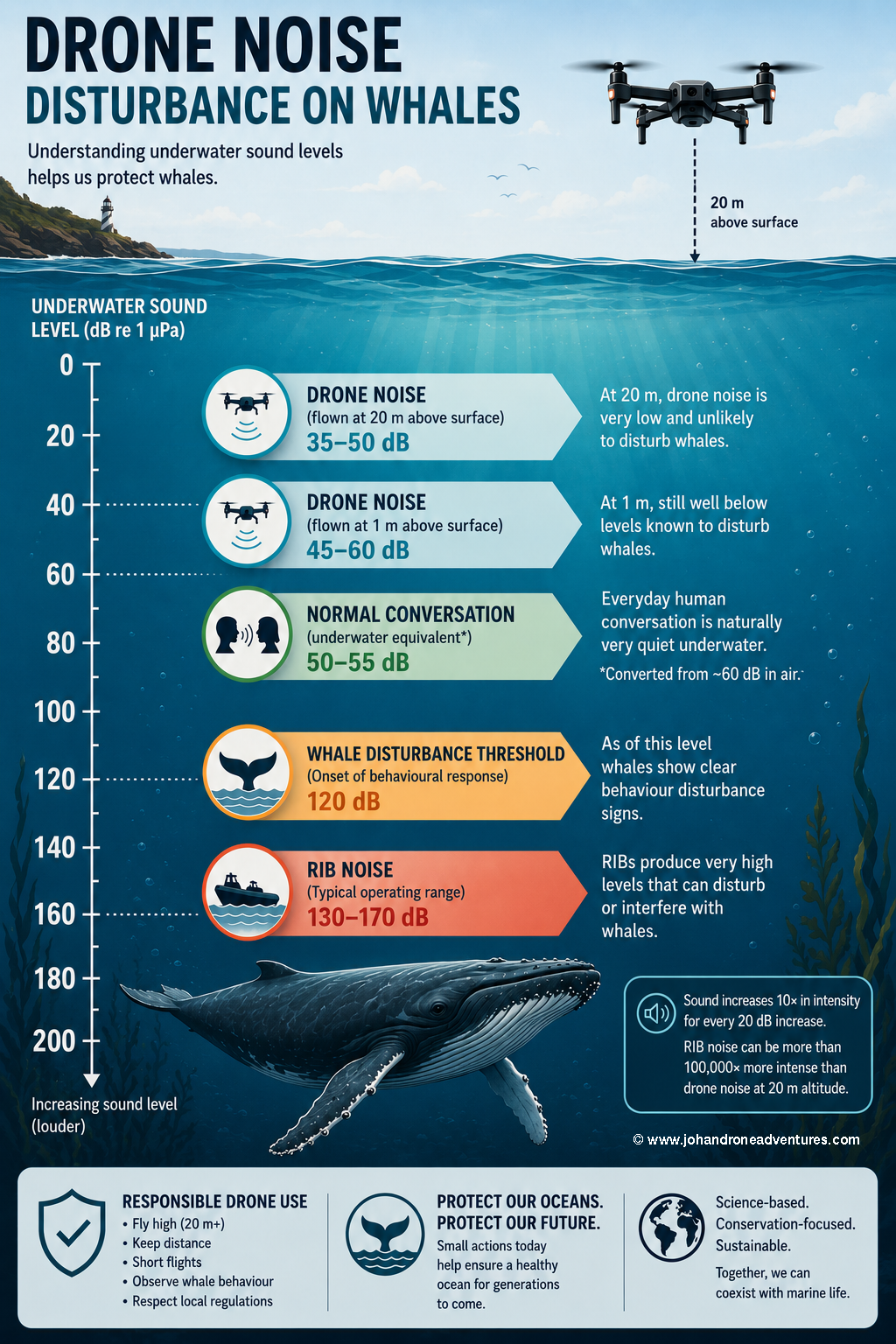 Is flying drones over whales safe? Science and experience answer