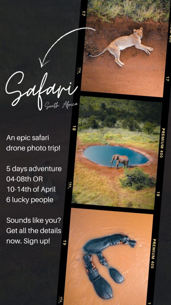 Safari drone trip 2026